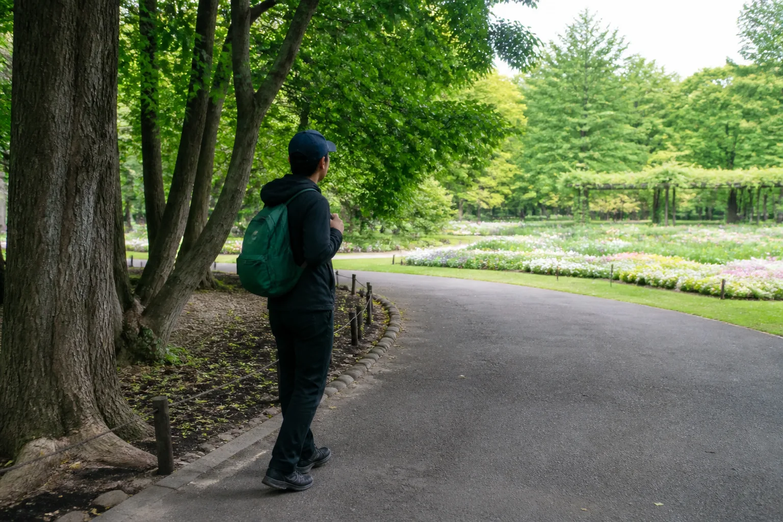 A person with a daypack pauses on a tree-lined park path in daylight.