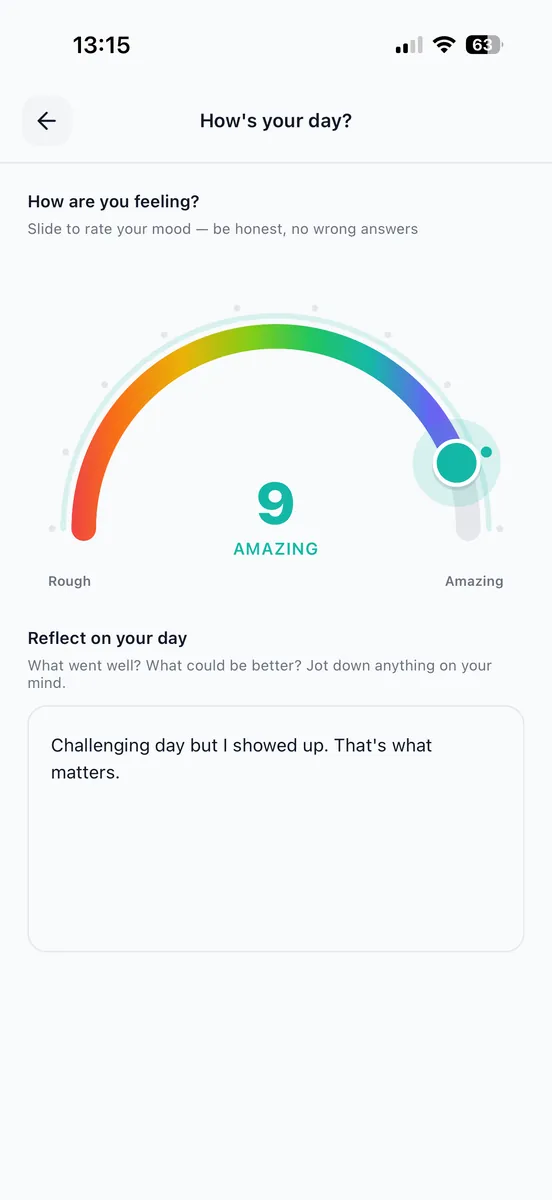 The daily check-in on iPhone with a mood arc and a reflection